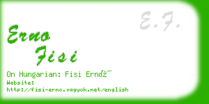 erno fisi business card